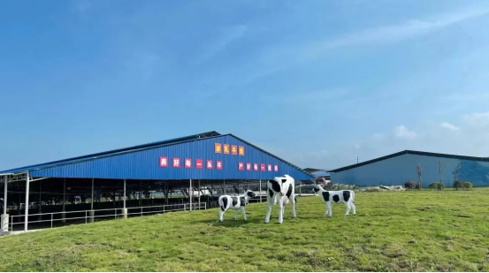 奶源建設再提速！田東縣皇氏奶業(yè)示范區(qū)正式投產！