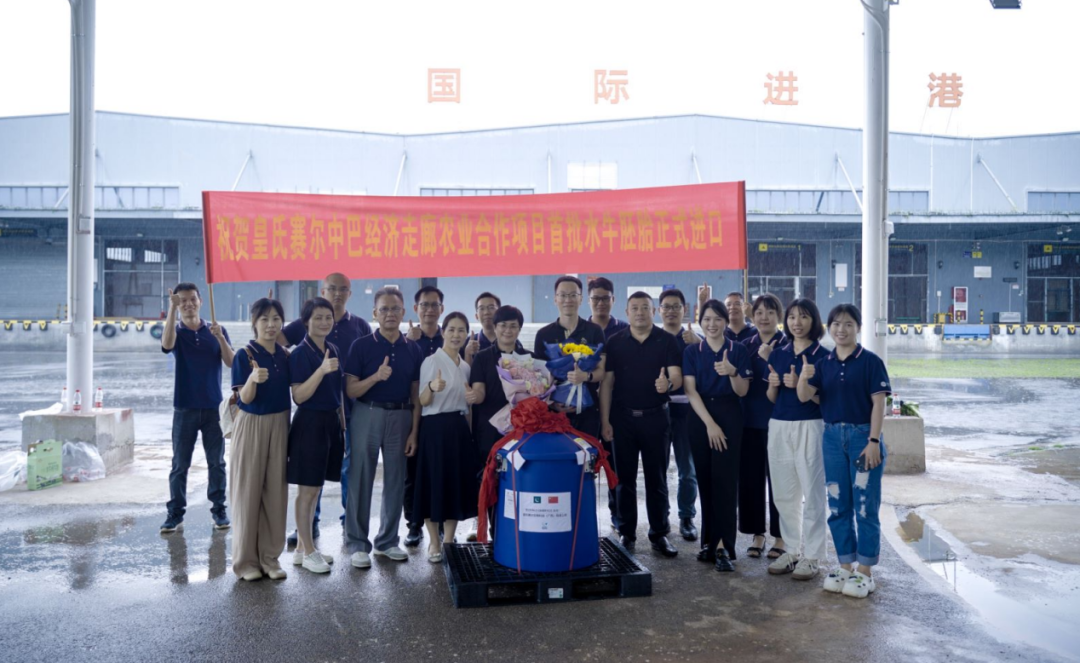 重磅！全國(guó)首批5000枚進(jìn)口巴基斯坦優(yōu)質(zhì)奶水牛胚胎入境，第一時(shí)間落戶(hù)皇氏集團(tuán)投入奶水牛改良繁育生產(chǎn)